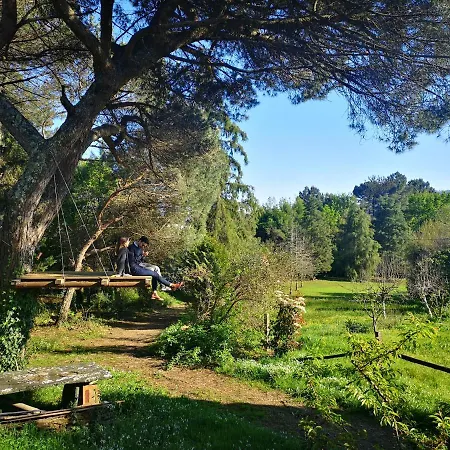 Villa Pine Valongo (Porto)