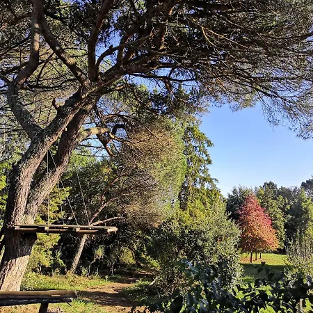 Pine Valongo (Porto)
